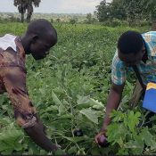 Sustainability and Environmental Programs