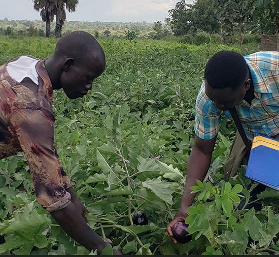 Sustainability and Environmental Programs