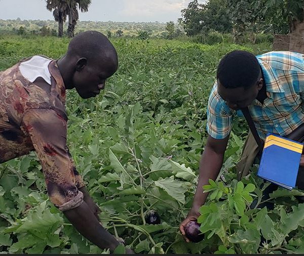 Livelihood and technical support