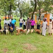 Health (Nutrition & WASH) Programs & Services