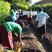 Sustainability and Environmental Programs