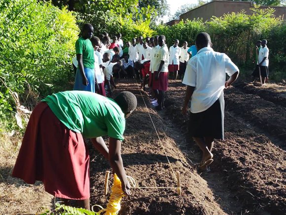 The magic behind a well prepared meal.