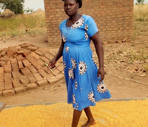 Stella’s Nutrition Revolution